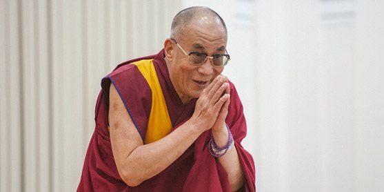 We are Social Animals