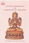 Activating Bodhichitta and a Meditation on Compassion