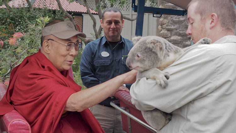 His Holiness the Dalai Lama petting an Australian koala bear during his visit to the San Diego Zoo in San Diego, CA, USA on June 18, 2017. Photo by Jeremy Russell/OHHDL