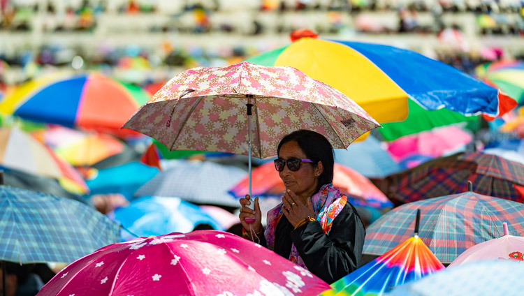 A member of the crowd looking over the sea of umbrellas to see His Holiness the Dalai Lama on the first day of his two day teaching in Leh, Ladakh, J&K, India on July 30, 2018. Photo by Tenzin Choejor