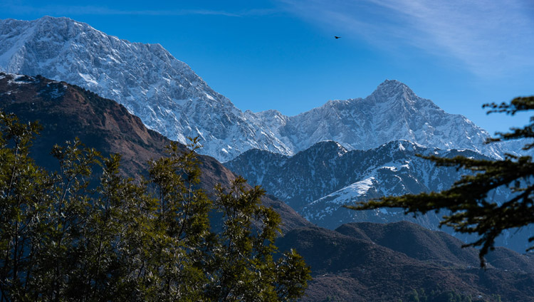 The snow-clad mountains behind Dharamsala in the morning of His Holiness the Dalai Lama's final session of teachings at the Main Tibetan Temple on February 23, 2019. Photo by Tenzin Choejor