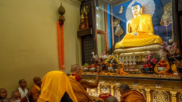 His Holiness the Dalai Lama reciting prayers in front of the statue of the Buddha in the inner sanctum of the Mahabodhi Temple in Bodhgaya, Bihar, India on December 16, 2023. Photo Tenzin Choejor