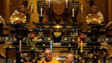 From Sadness to Hope - the Power of Compassion