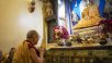 Pilgrimage to Mahabodhi Temple at the End of Bodhgaya Visit