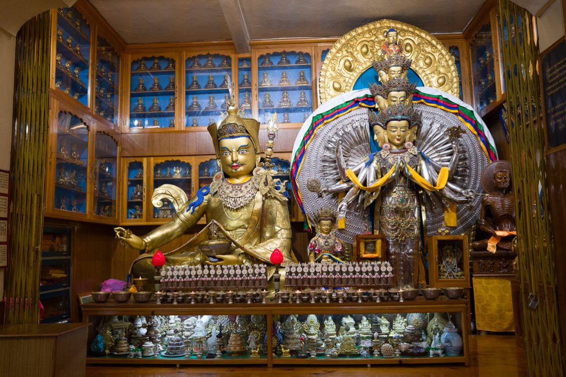 2026 02 24 Dharamsala G07 L1131858